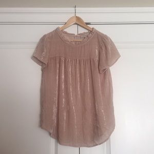 LOFT Crushed Velvet Capped Sleeve Top